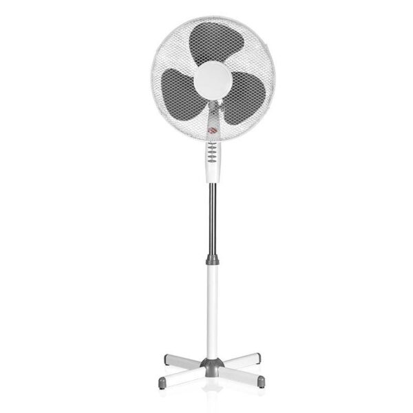 02-00130-1-800x800 (1)