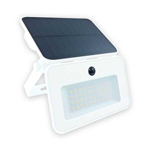 1726212825-0_57c9524ea146155bd4067b7746492b64